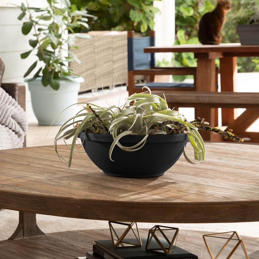 Bloem 14-in Terra Round Resin Planter Bowl - Black
