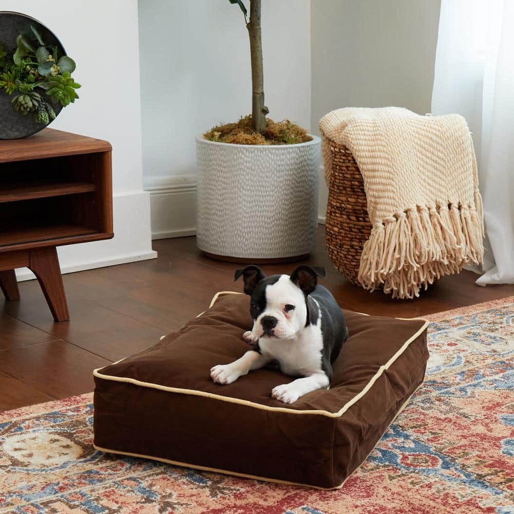 Happy Hounds Buster Rectangle Pillow Style Dog Bed, Cocoa, Extra Small (24 x 18 in.)