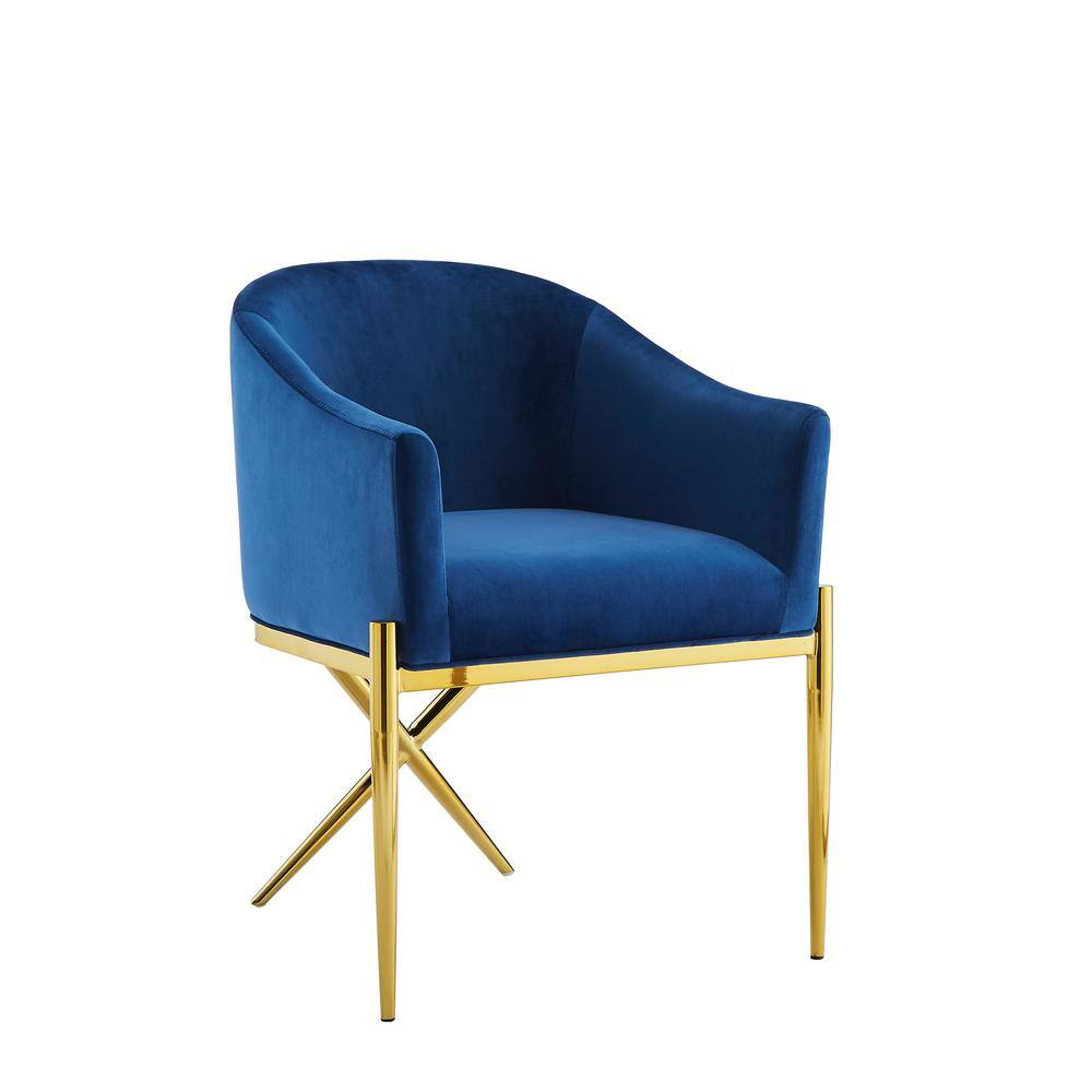 Best Master Dalton Navy Velvet Side Chairs in Gold