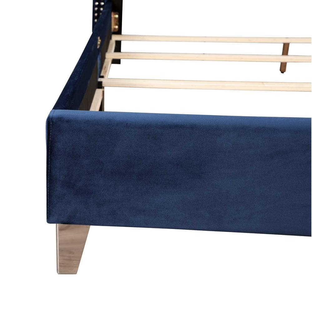 Passion Furniture Julie Navy Blue Tufted Upholstered Low Profile Queen Panel Bed