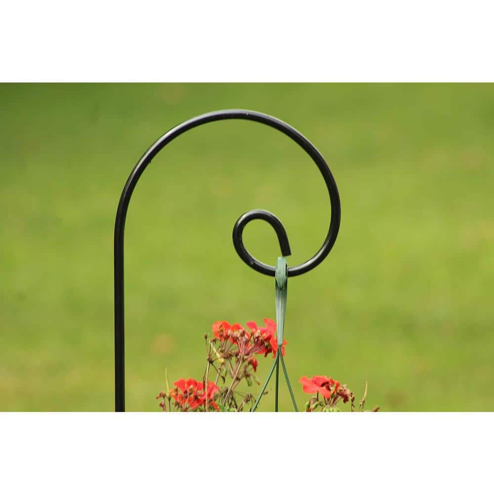 65-Inch Black Powder-Coated Steel Shepherd Hooks, 12-Pack