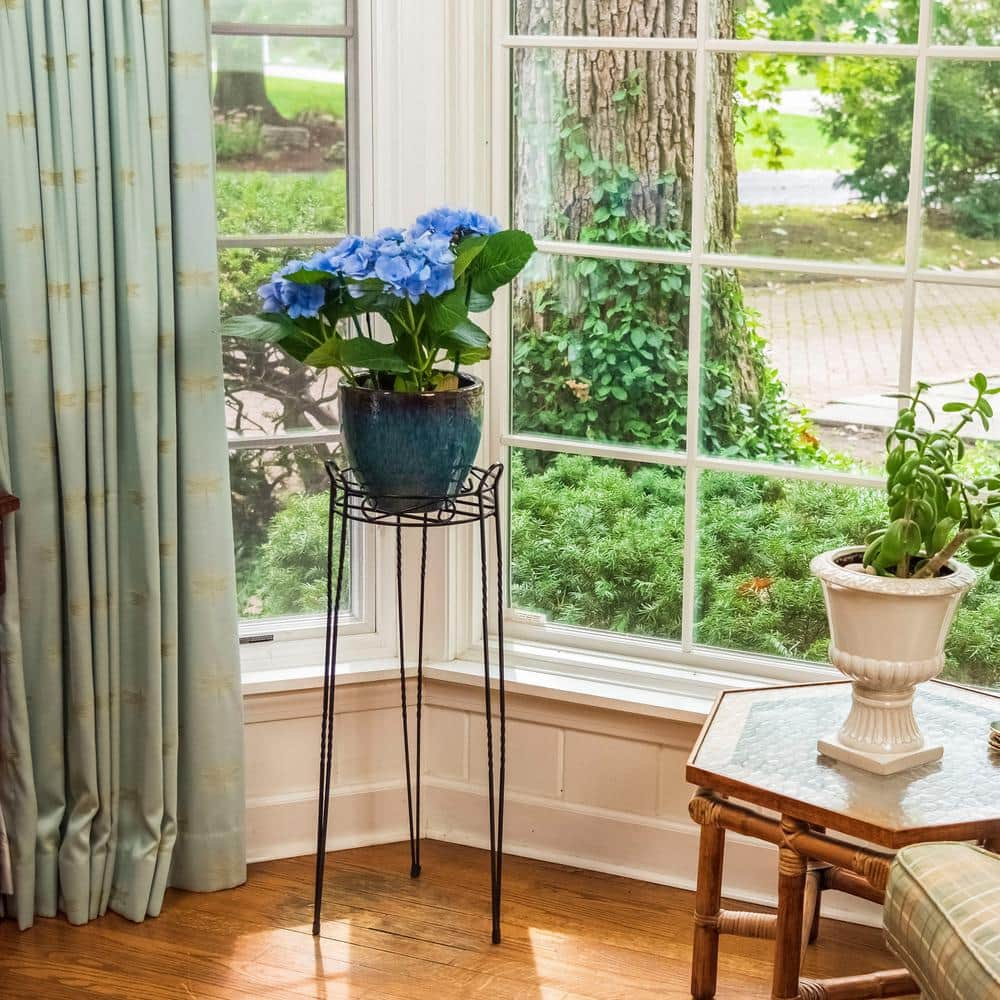 CobraCo SCBPS1030-B 30 in. Canterbury Scroll Top Plant Stand - Black