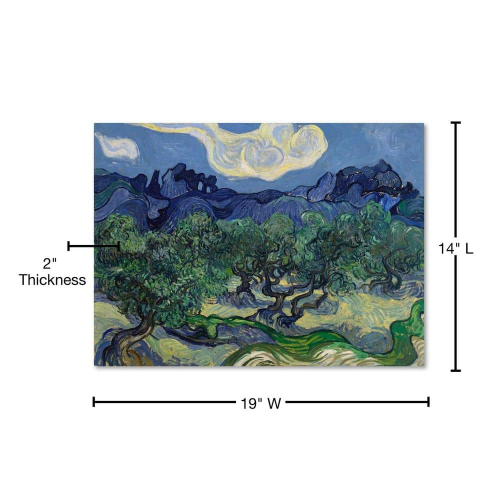 Van Gogh 'The Olive Trees' Canvas Art