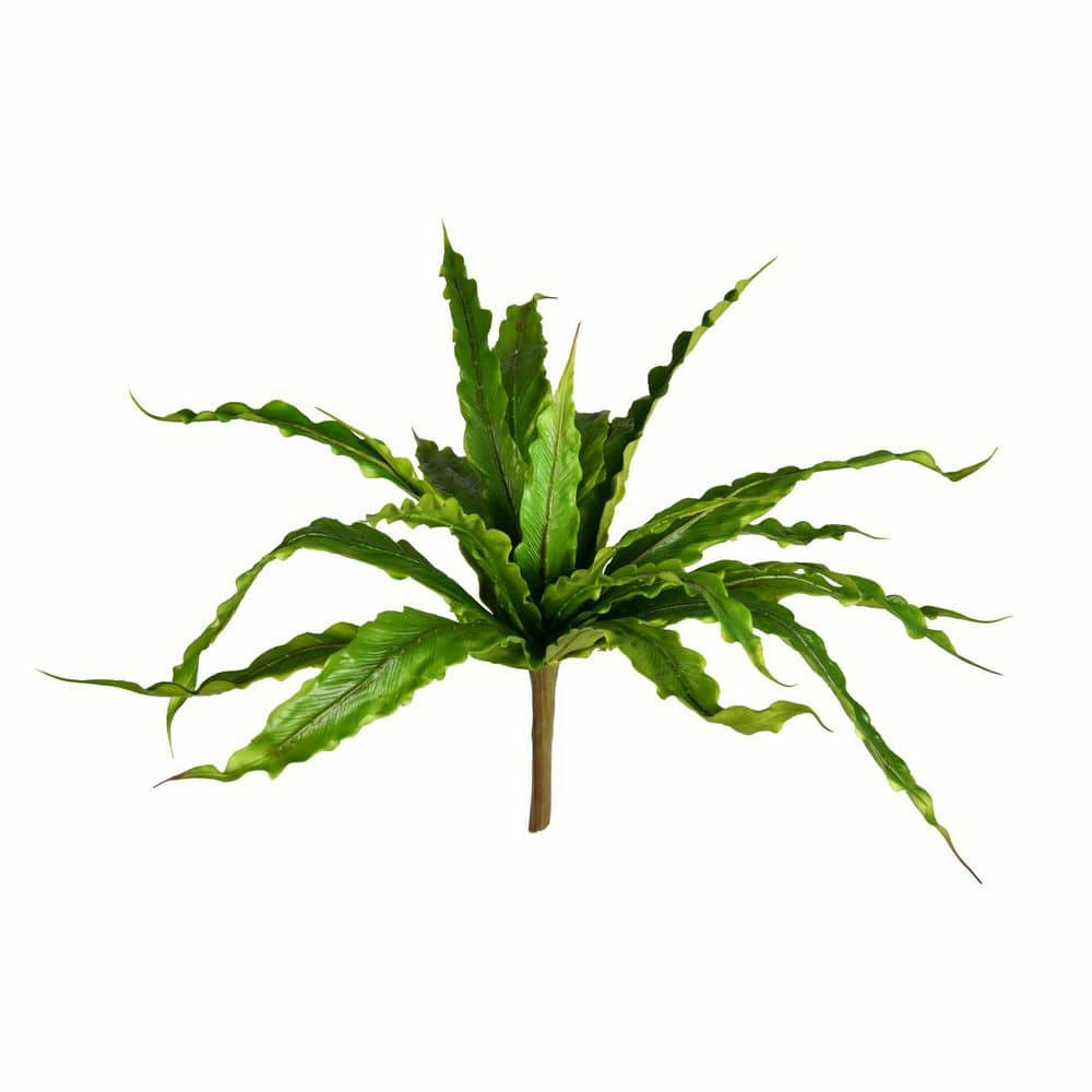 Vickerman 13" Artificial Green Bird Nest Fern Bush.