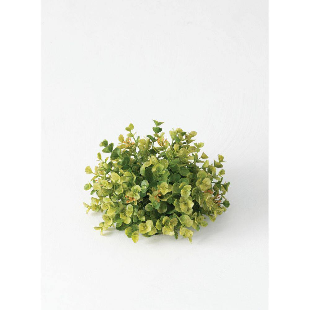Sullivans New England Boxwood 1/2 Orb Decorative Easter Filler 4.5"H Green
