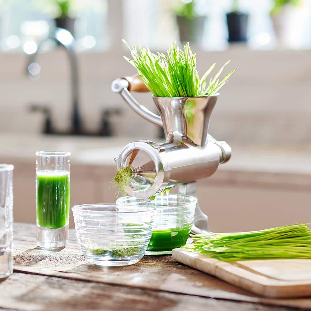 Roots & Harvest Wheatgrass Juicer, Stainless Steel, Small