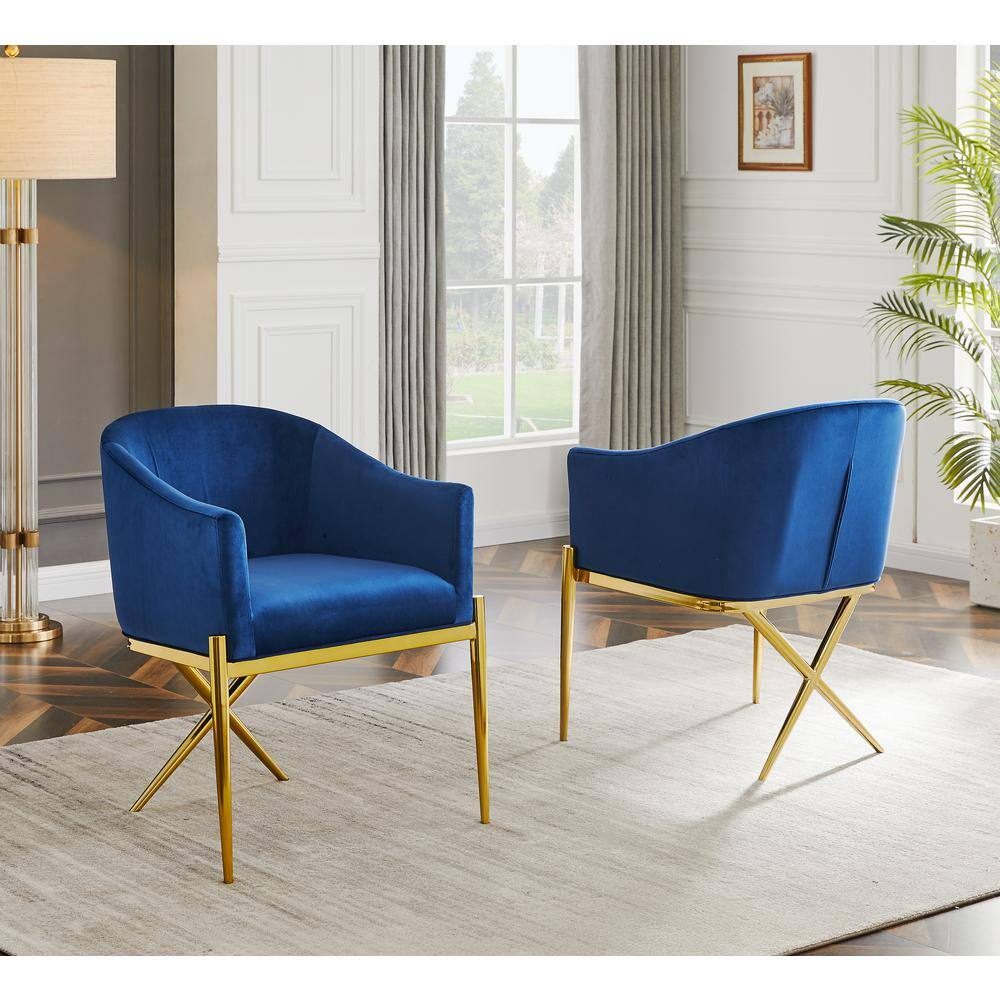Best Master Dalton Navy Velvet Side Chairs in Gold
