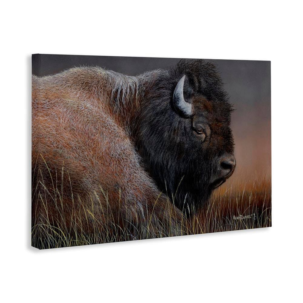 Stupell Industries Detailed Bison Close Up Animals Painting Wrapped Canvas Art Print Wall Art, 24 x 16