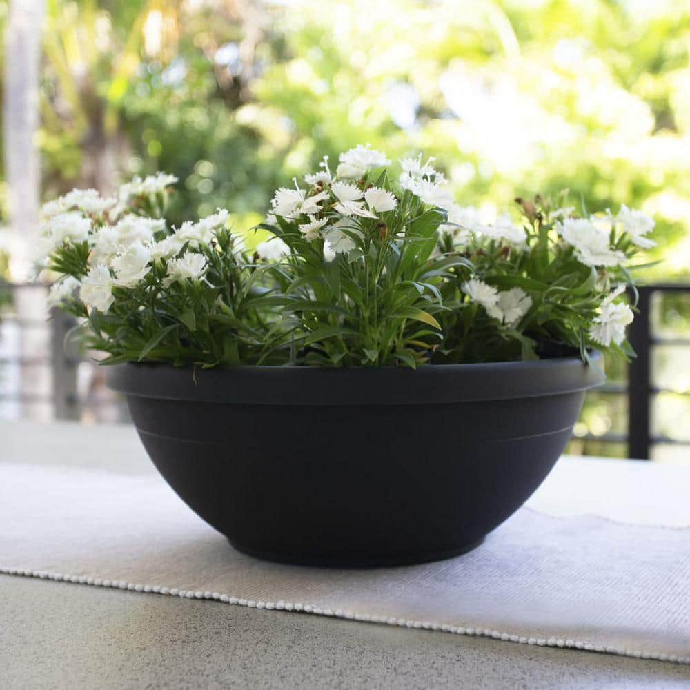 Bloem 14-in Terra Round Resin Planter Bowl - Black