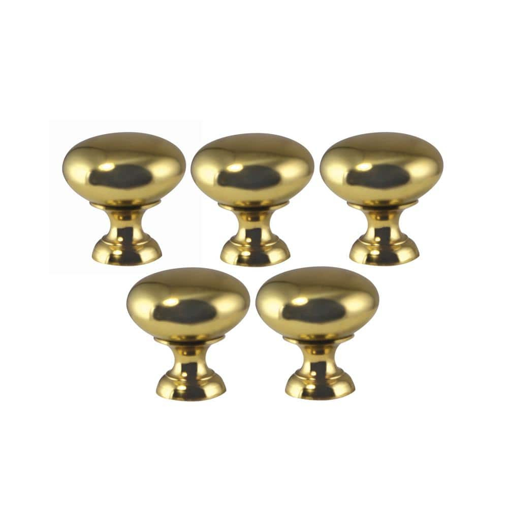 Polished Brass Round Cabinet Knob with Mounting Hardware