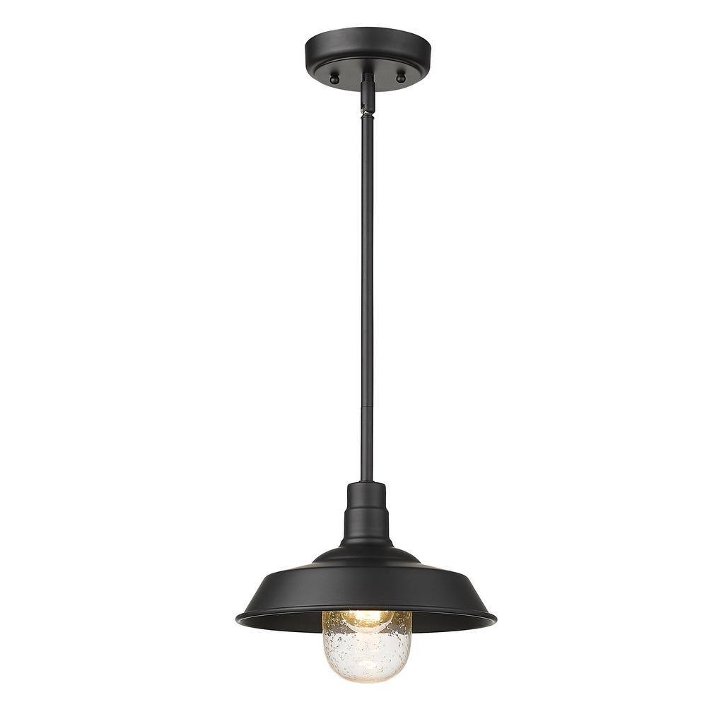1736BK-Acclaim Lighting-Burry - 1 Light Outdoor Convertible Pendant Matte Black Finish with Clear