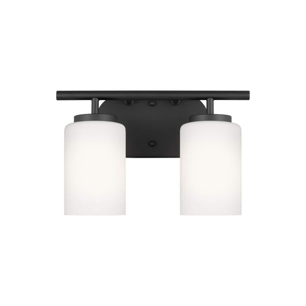 Oslo 12.5 in. 2-Light Midnight Black Transitional Contemporary Bathroom Vanity Light with Cased Opal Etched Glass Shades