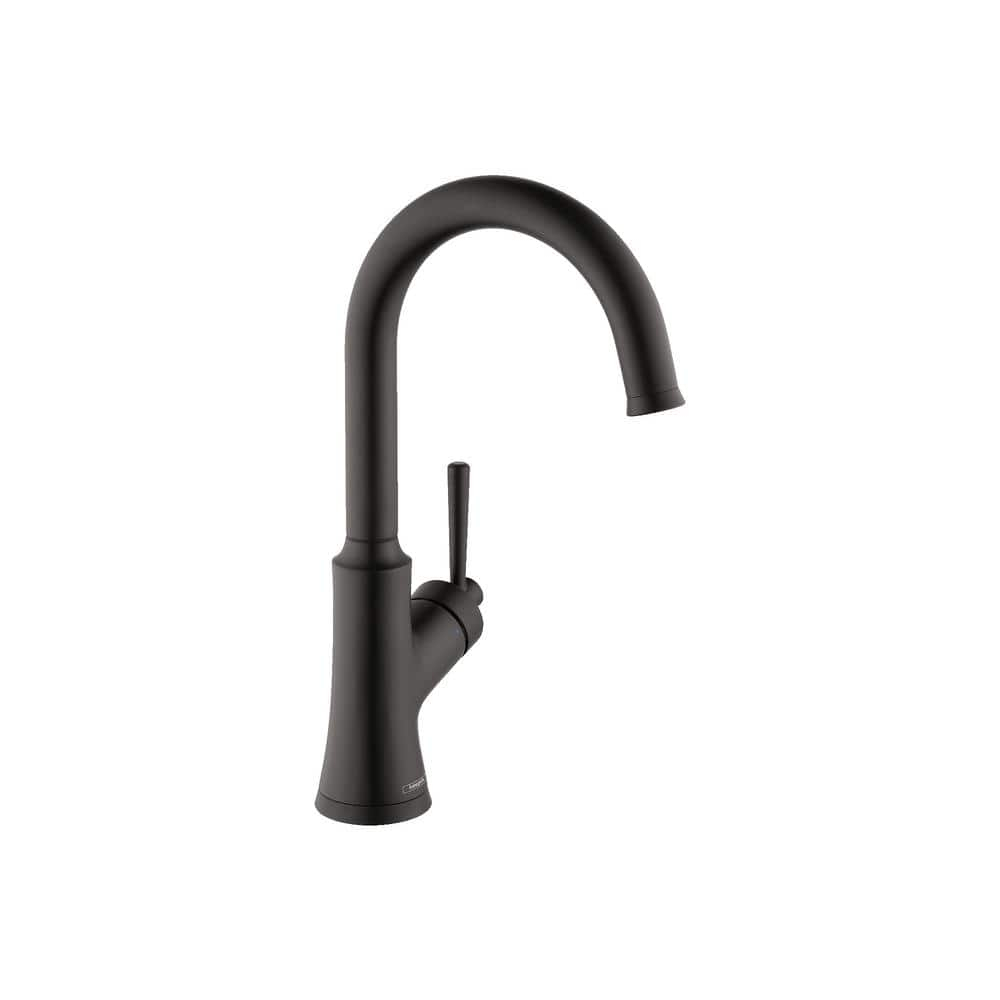 Joleena Pull Down Bar Faucet