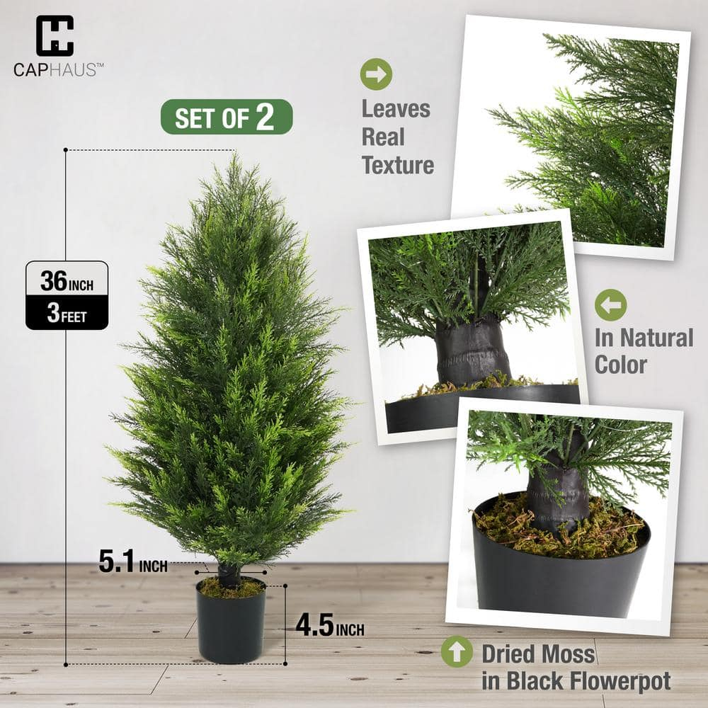 CAPHAUS 3 FT Artificial Cedar Tree Set of 2, 36 Inch Fake Boxwood Topiary w/Dried Moss, Natural Faux Plants for Outside Planter, UV Resistant, Artificial Tree Indoor, Outdoor Patio Décor