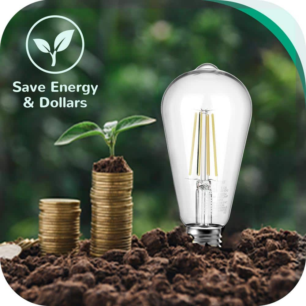 EDISHINE 4-Pack LED Edison Light Bulbs, 7W(60W Equivalent), 2700K Warm White, 800LM, E26 Base ST19 Vintage Light Bulb, Decorative LED Filament Bulbs, Non-Dimmable, UL Listed