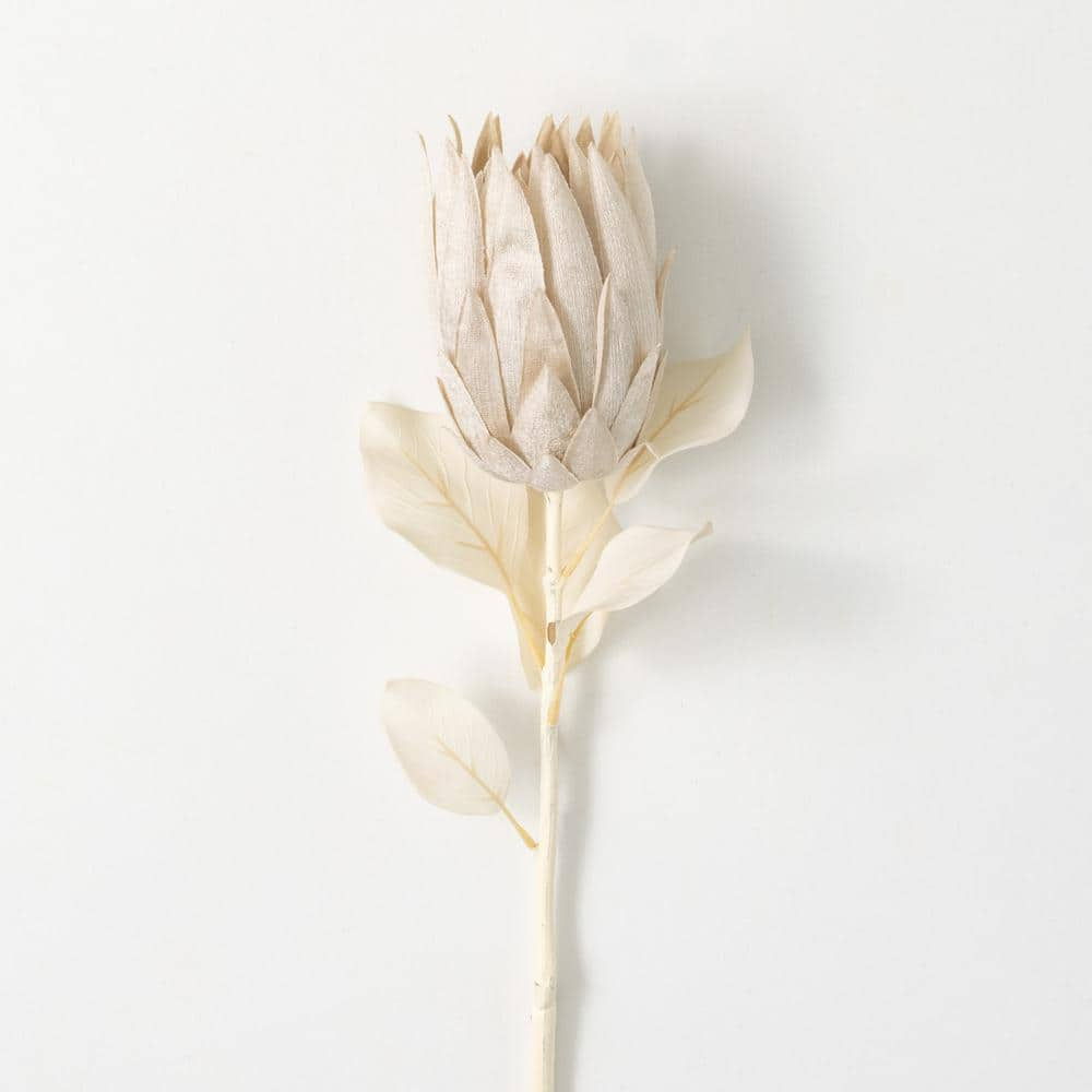 29"H Sullivans Natural Pale Cream Protea, Cream