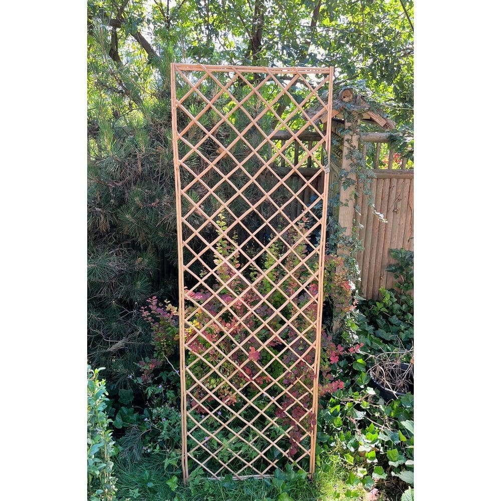 MGP 72'' H x 24'' W Wood Lattice Panel Trellis