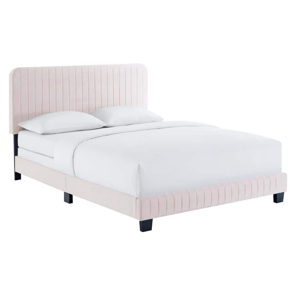 Modway Celine Channel Tufted Performance Velvet King Bed in Pink