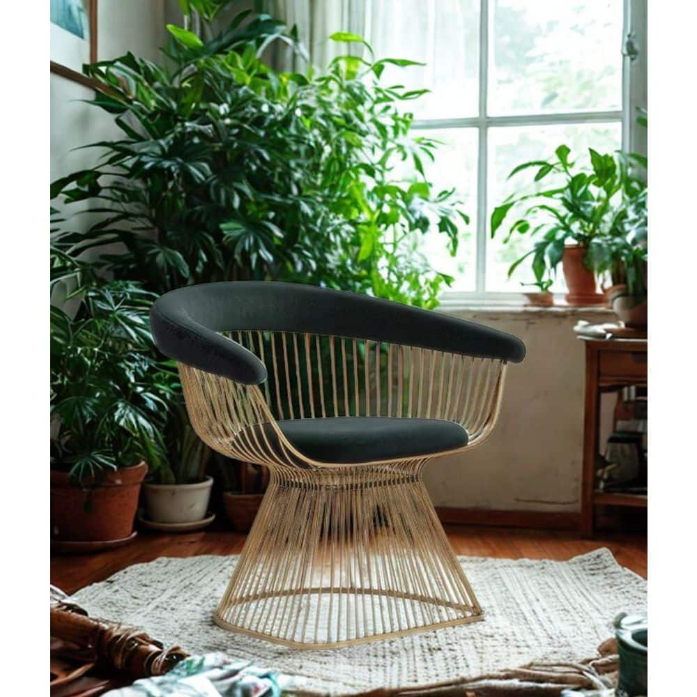 Modrest Chandler Black Velvet & Gold Dining Chair