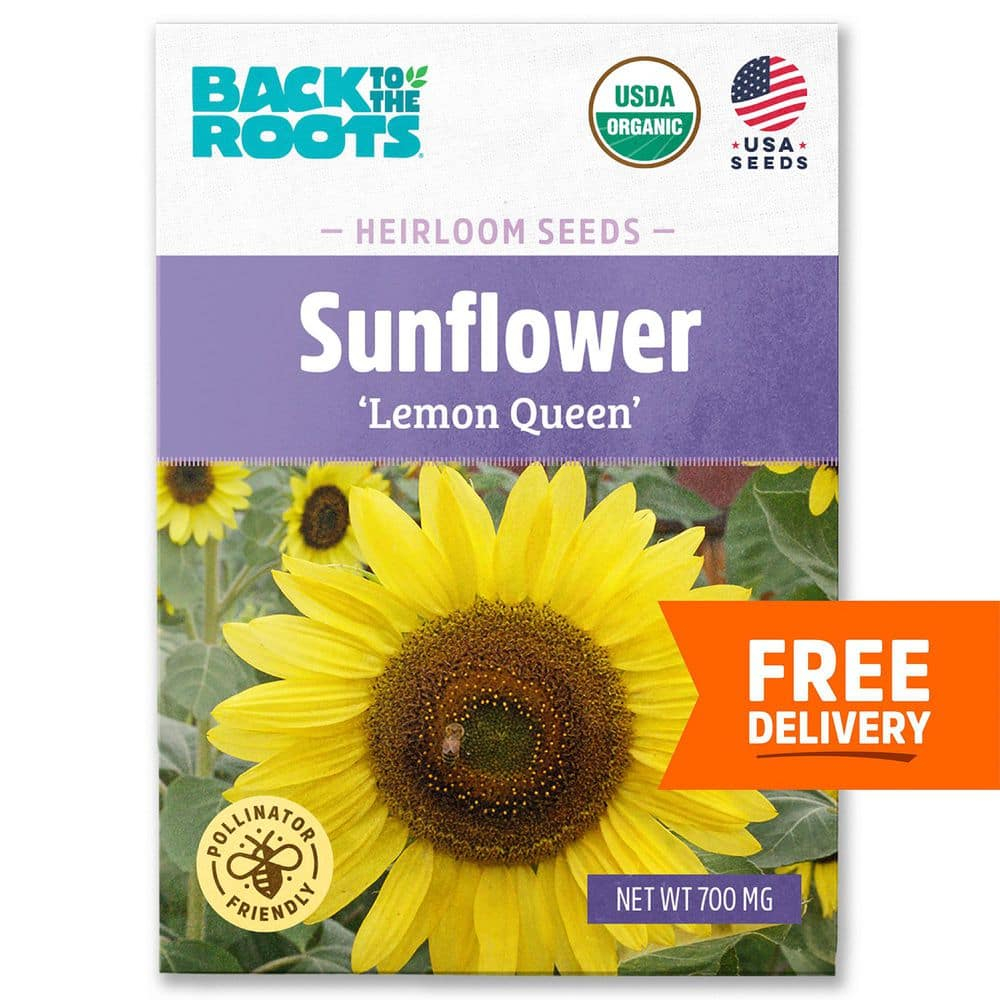 Back to the Roots Organic Sunflower 'Lemon Queen', 1 Seed packet