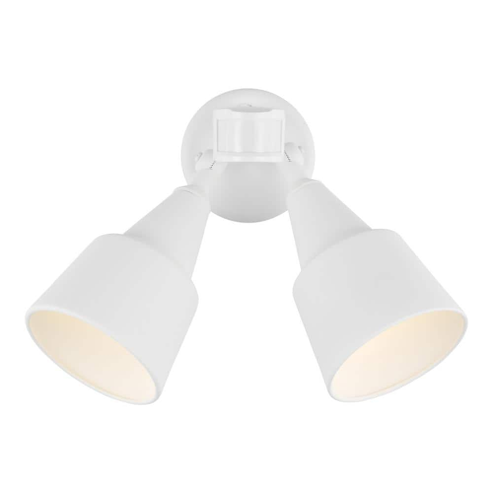 Generation Lighting Collection Metal Flood Light