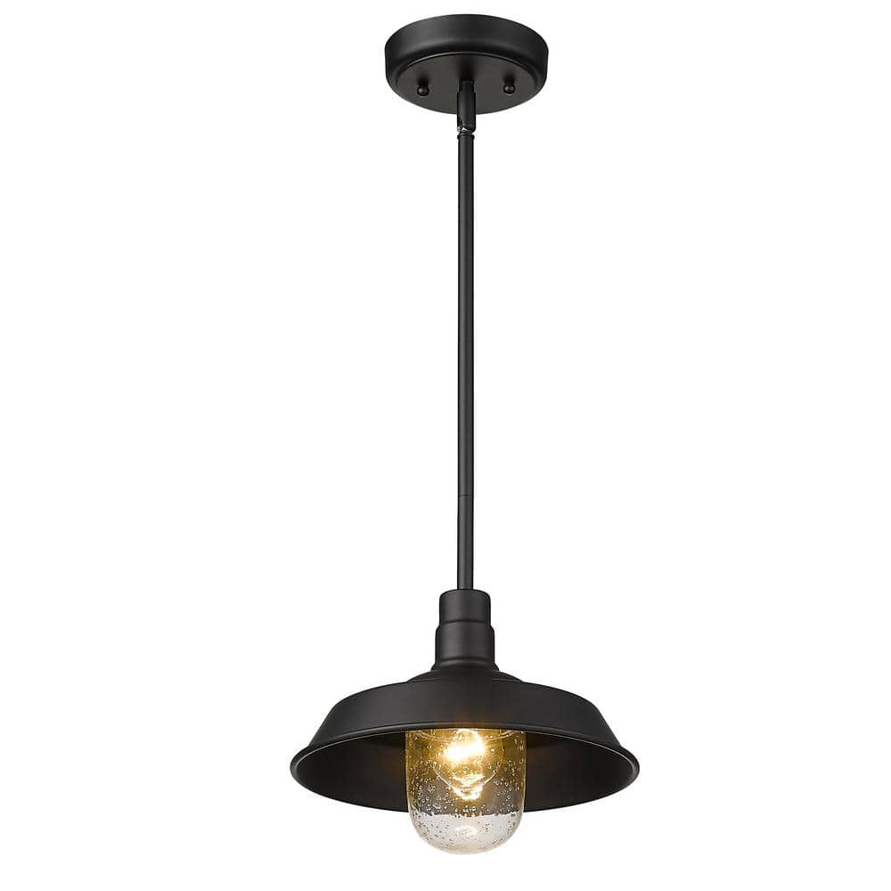 1736BK-Acclaim Lighting-Burry - 1 Light Outdoor Convertible Pendant Matte Black Finish with Clear