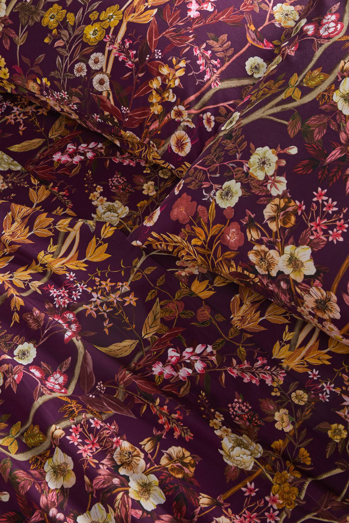 Organic Cotton Percale Printed Sheet Set