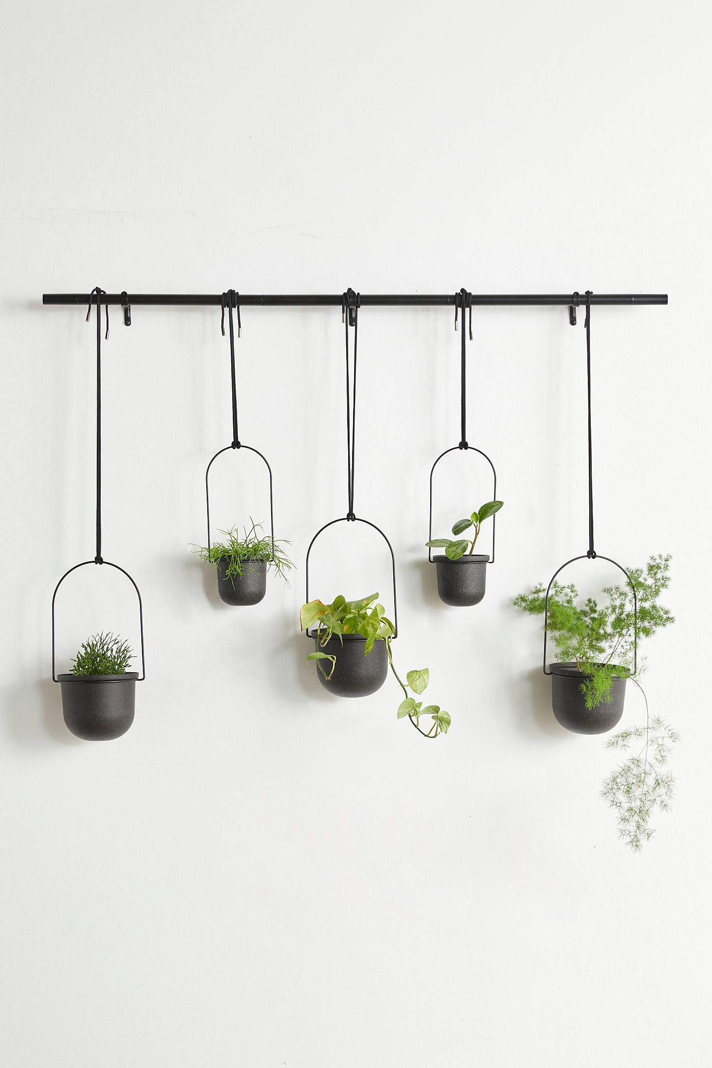 Triflora Large Hanging Planter