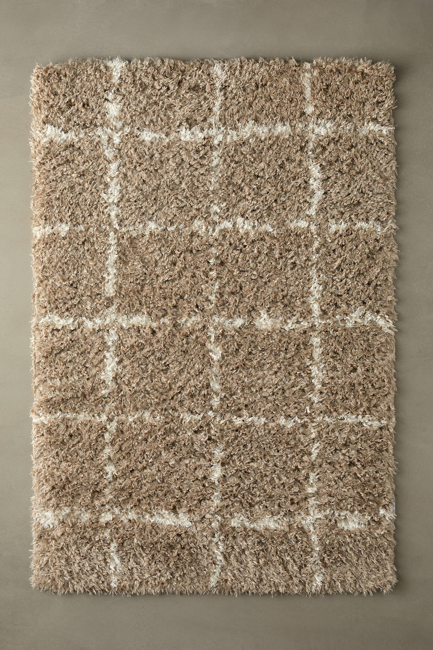 Angela Rose X Loloi Amira Rug