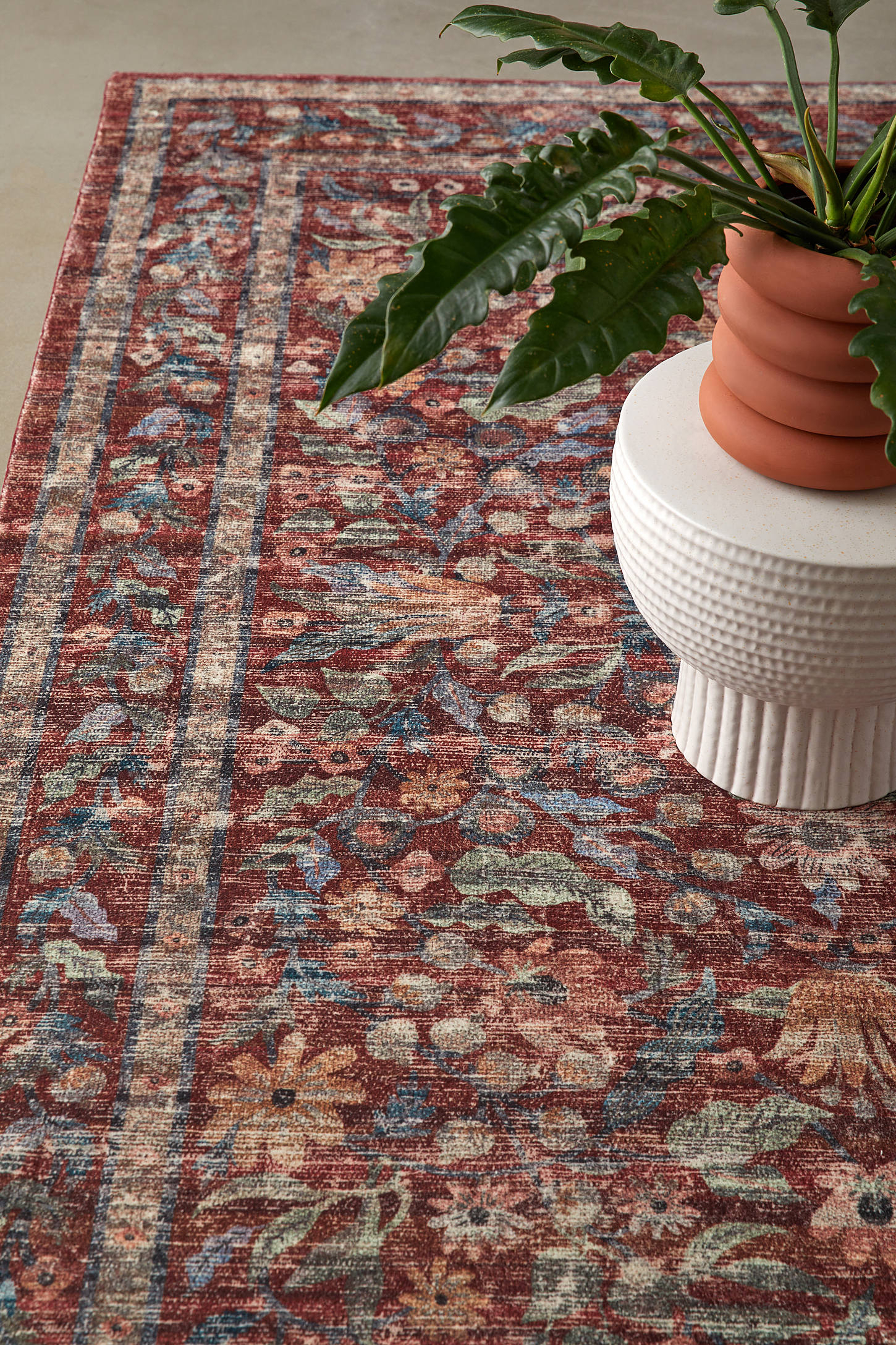 Rifle Paper Co. X Loloi Courtyard Rug