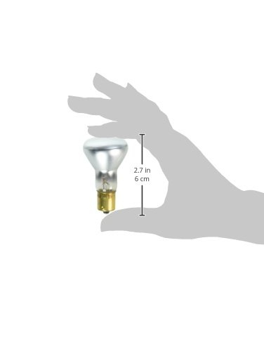 Frosted R12 Bayonet Base Decorative Light Bulb