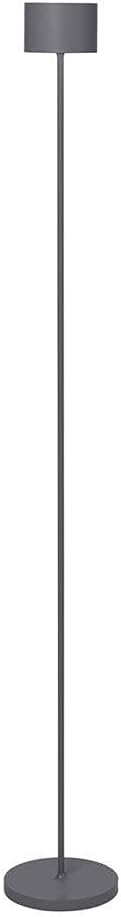 FAROL 45.28'' Mobile Rechargeable LED Floor Lamp