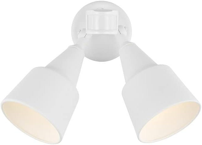 Generation Lighting Collection Metal Flood Light