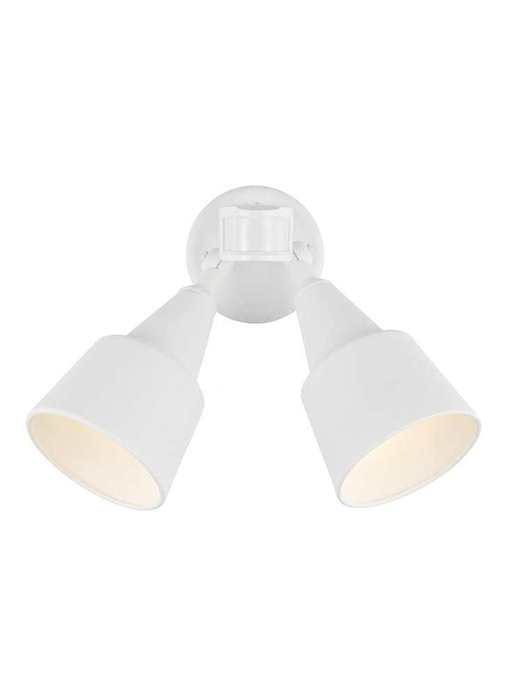 Generation Lighting Collection Metal Flood Light