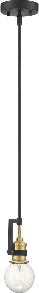 Matte Black and Brass Glass Mini Pendant Light