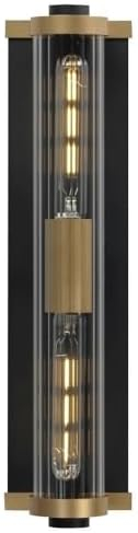 Opulent Black and Antique Brass 20" Outdoor Wall Sconce