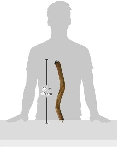 Polly's Full Length Hardwood Bird Perch, 16-Inch, Natural Brown