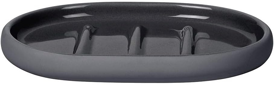 Blomus 66286 5.1 x 3.9 x 0.7 in. Sono Soap Dish, Magnet