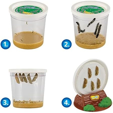 Insect Lore Giant Butterfly AIF9 Garden with Voucher | 18 Inch Habitat | Life Cycle Figurines Included | Voucher to Redeem 5 Baby Caterpillars Later | Raise Painted Lady Butterflies