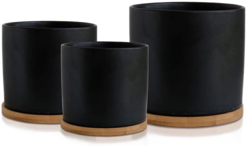 Olly & Rose Black Set 3 Ceramic Plant Pots with Bamboo Coasters Indoor Planters with Saucers