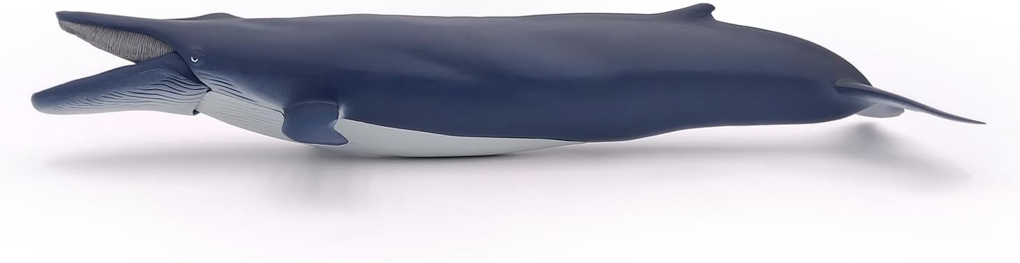 Papo - Blue Whale - Figurine Marine Animals - 3 Years Old - Cetaceans and Marine Mammals - Hand Painted - Durable Educational Toy - 38,5 x 17 x 7,5 cm - Children's Toy - Gift Idea - Blue Whale Toy