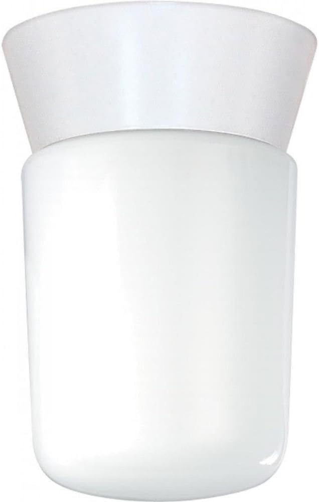 Wrought Studio™ Olmos 1 - Bulb Outdoor Flush Mount
