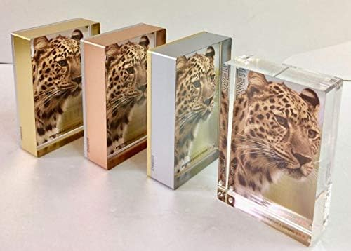 The PRESTIGE GOLD Silver 4x6 MAGNET FRAME by Canetti - 4x6