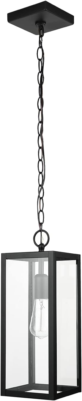 1-Light Matte Black Outdoor Pendant Lighting with Clear Glass Shade