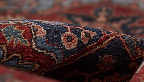 Momeni  Afshar Polyester Medallion Area Rug 8'5" X 12' 9' x 12' Indoor,Accent