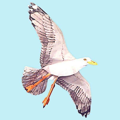 Ivory and Beige Fiberglass Sea Gull Kite with 42.5" Wingspan