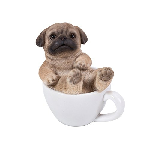 Adorable Resin Pug Puppy in White Teacup Figurine