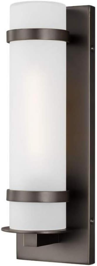 Alban Antique Bronze 1-Light Outdoor Sconce with Etched Opal Glass Shade