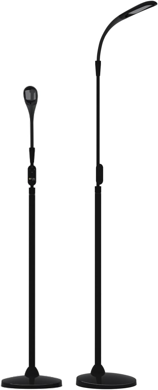 Stellasky Floor Lamp-Black