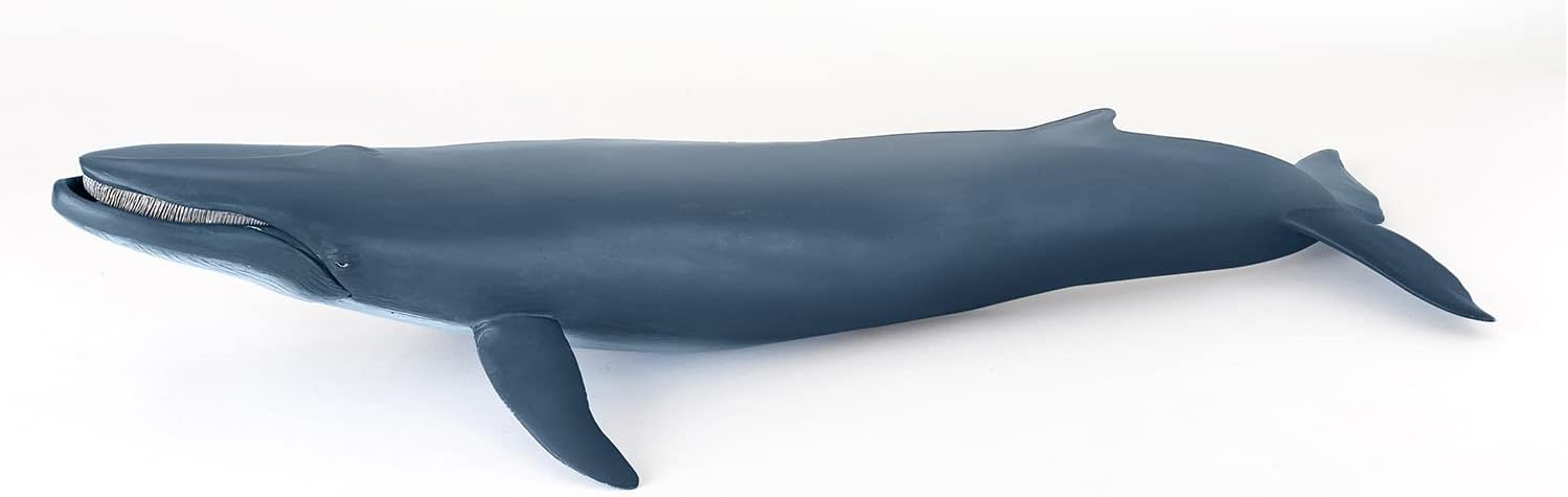 Papo - Blue Whale - Figurine Marine Animals - 3 Years Old - Cetaceans and Marine Mammals - Hand Painted - Durable Educational Toy - 38,5 x 17 x 7,5 cm - Children's Toy - Gift Idea - Blue Whale Toy